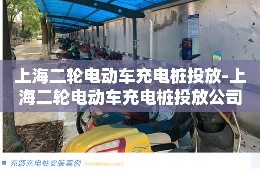 上海二轮电动车充电桩投放-上海二轮电动车充电桩投放公司-上海装一个二轮电动车充电桩多少钱